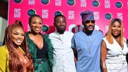 NECLive hosts Africa's leading entertainment and creative industry stakeholders in Lagos
