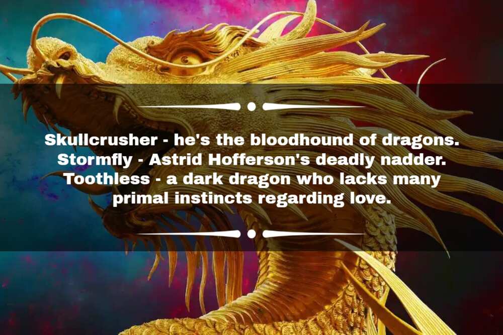 Dragon Names