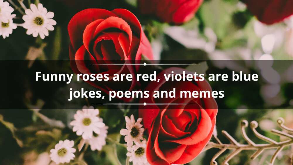 Funny Roses are red, violets are blue pick up lines