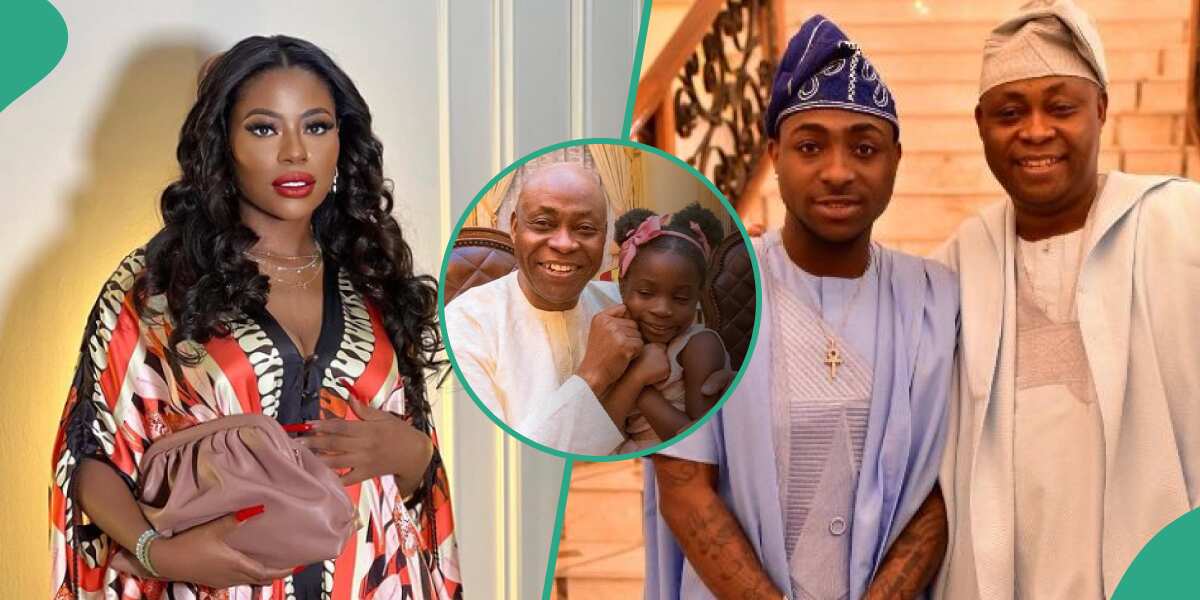 See the conversation Sophia Momodu had with Davido's dad over daughter's monthly welfare that got many talking