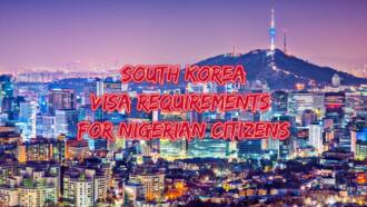 turkey tourist visa requirements for nigeria