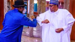 Buhari receives former president Jonathan on Mali crisis