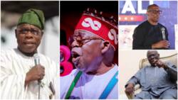 Exclusive: How Obasanjo, Adebanjo divide Afenifere, move from supporting PDP to Peter Obi, dump Tinubu