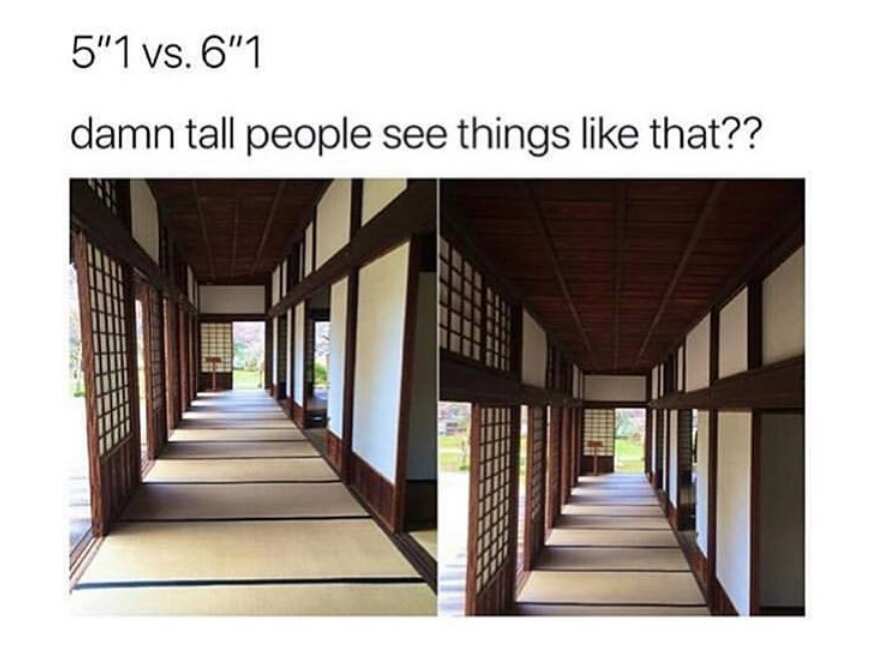 short people jokes for tall people