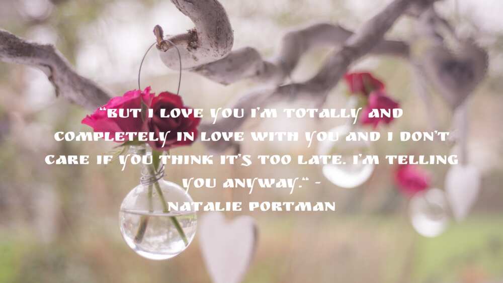 Cute quotes Cute quotes