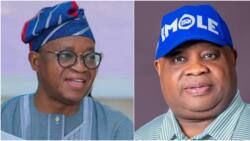 Adeleke: Prominent Nigerian lawyer reveals what dancing governor can do after Tribunals final verdict