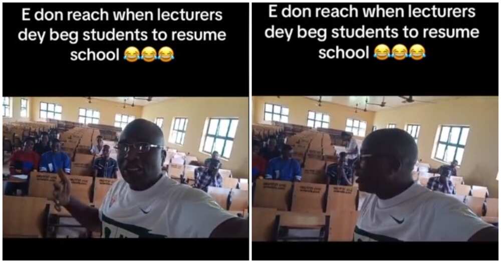 Nigerian lecturer, students, school