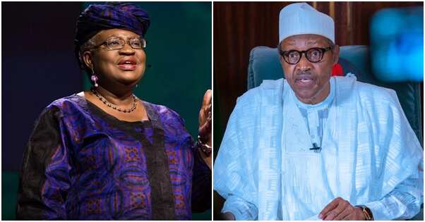 Breaking: President Buhari nominates Okonjo-Iweala for top position