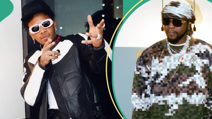 "Him money no reach": Tekno reacts to report that Kizz Daniel paid him N1b as royalties for 'Buga'