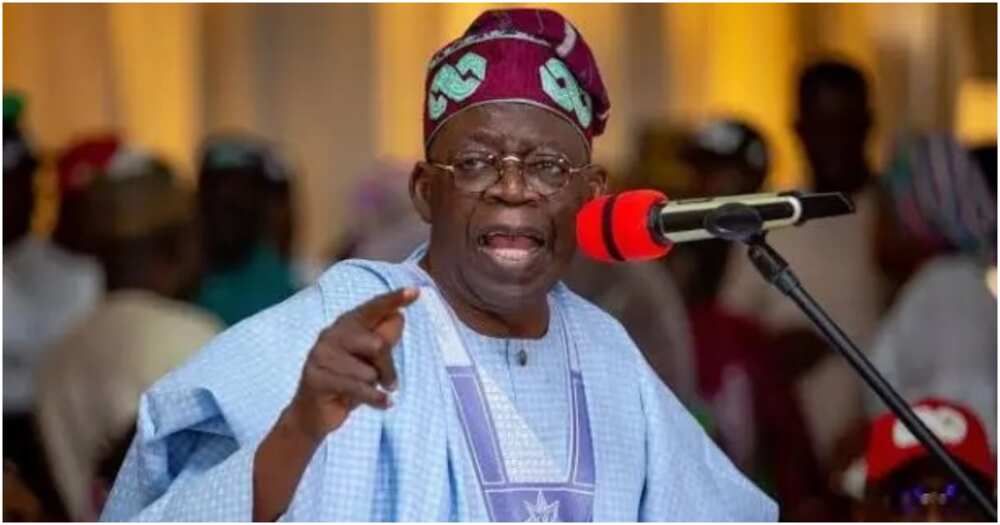 Bola Tinubu, Naira, fuel scarcity, protests, APC presidential candidate, 2023 election, CBN