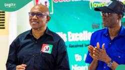 Labour Party convention: Peter Obi, Otti, other bigwigs absent as Abure gets fresh term