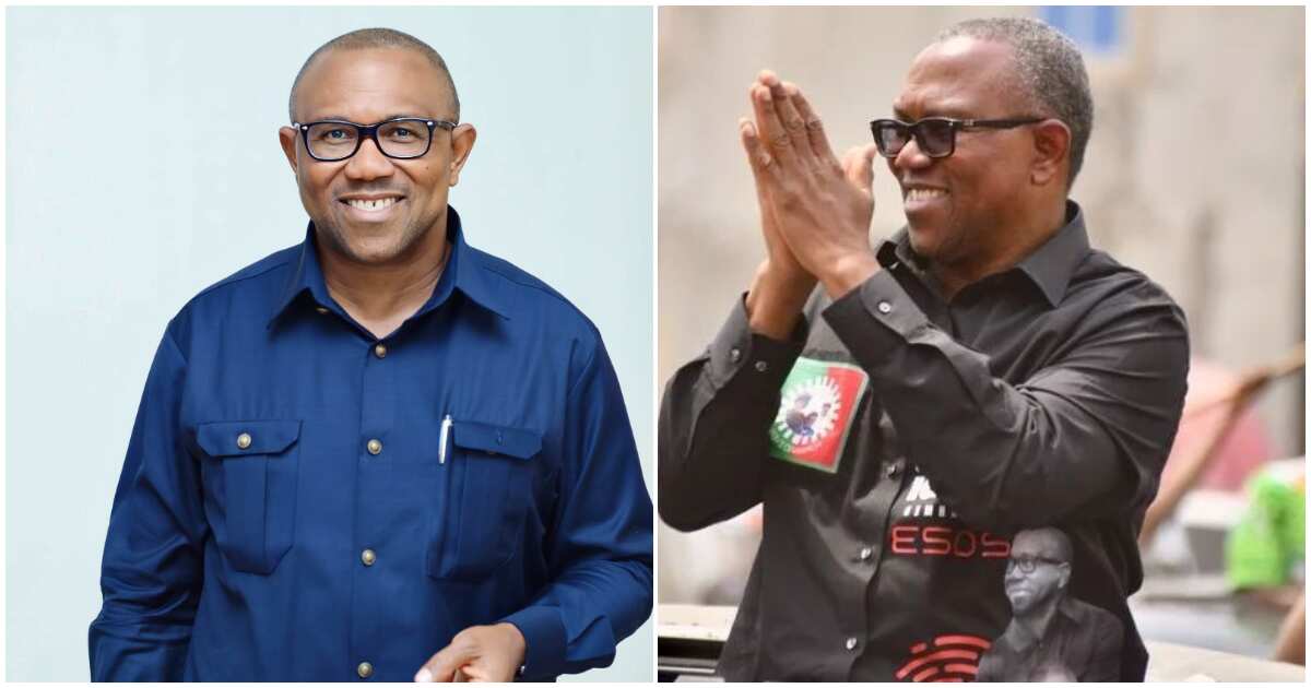 Fact check: Has tribunal finally declared Peter Obi winner of 2023 election?