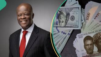 Finance Minister Wale Edun explains why naira is exchanging at N1,000 per dollar