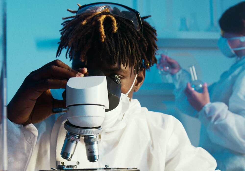 A man looking through the microscope