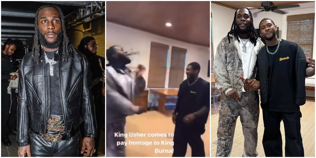 Watch moment Burna Boy met Usher for the first time, singer loses his cool in trending video