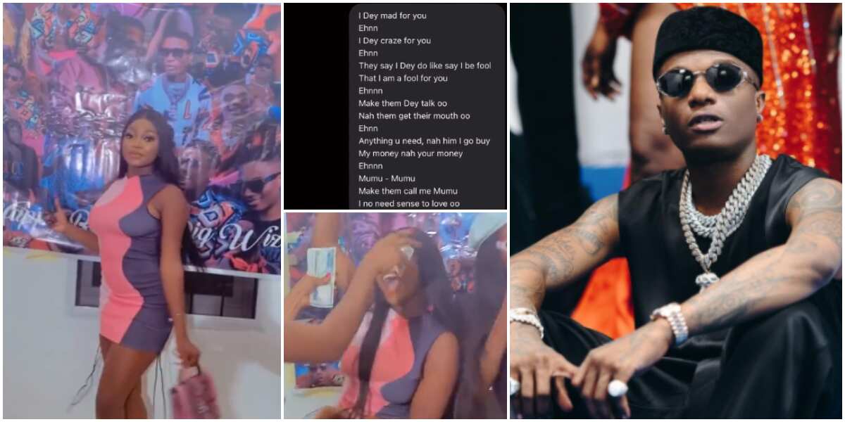 Mumu for you: Lady who almost fainted on sighting Wizkid begs him to notice her, celebrates his birthday