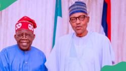 “You’ve done well”: Buhari hails Tinubu, tells Nigerians what to do as economic hardship bites harder