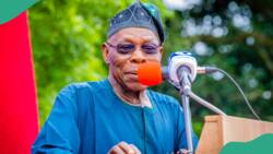 Yadda muka sha kaye a zaben 1998 domin na ki bai wa INEC cin hanci, Obasanjo
