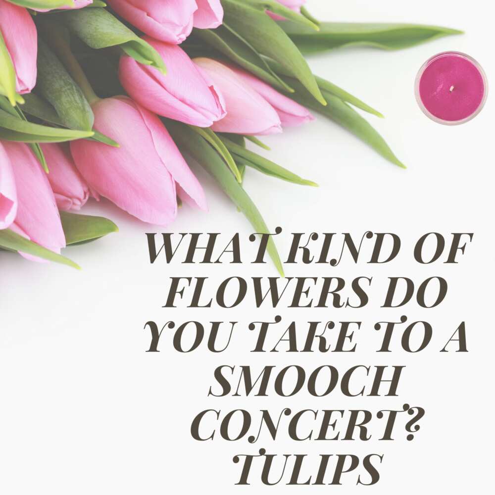 Flower puns for Instagram Flower puns for Instagram