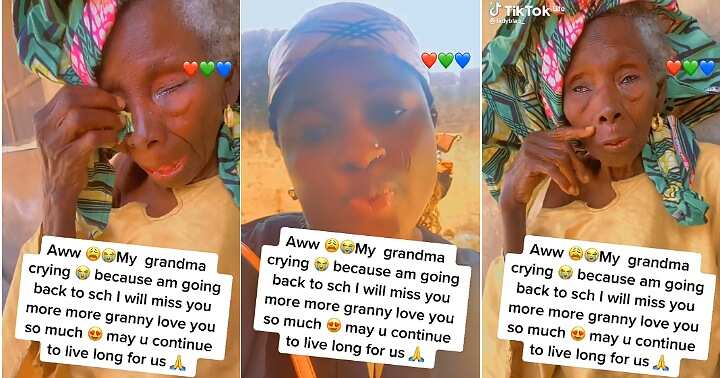 Grandma breaks down in tears, granddaughter leaves for school, emotional video