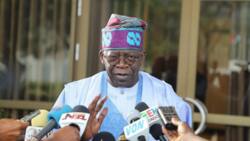Ya fasa kwai: Tinubu ya fadi makarkashin yin sabbin Naira da karancin mai a Najeriya