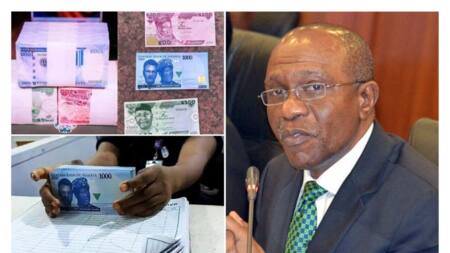 Naira scarcity: CBN governor Emefiele begs Nigerians for 1 thing, gives reasons