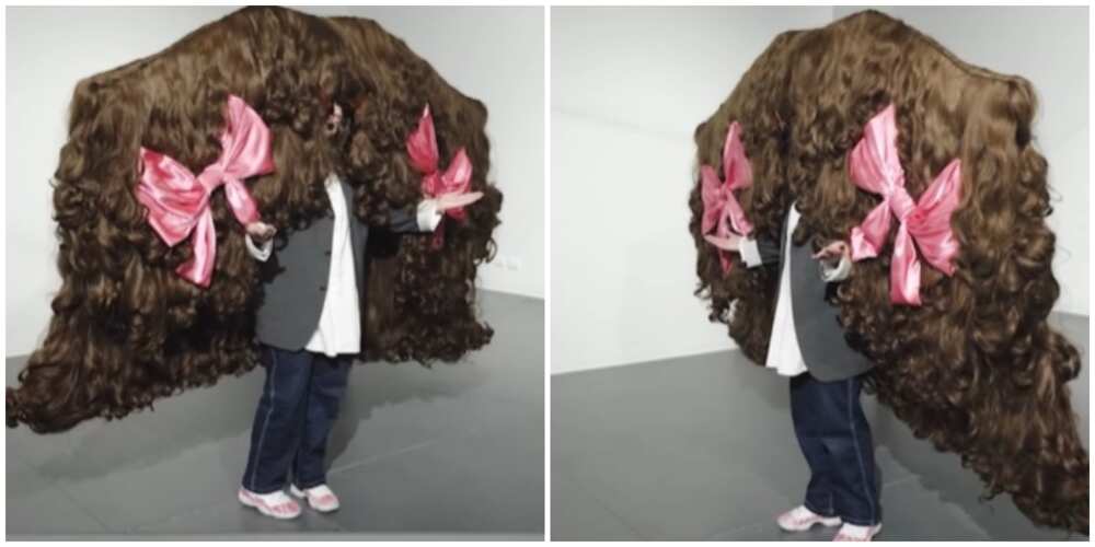 Widest wig Widest wig