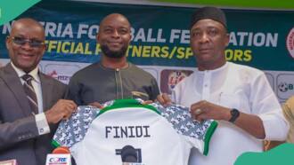 Finidi to reportedly earn N65m monthly, prominent sports journalist shares alleged contract details
