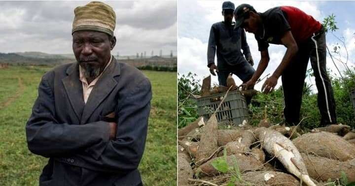 Read sad story of Nigerian businessman who bought yams for N20 each in Makurdi to sell in Lagos