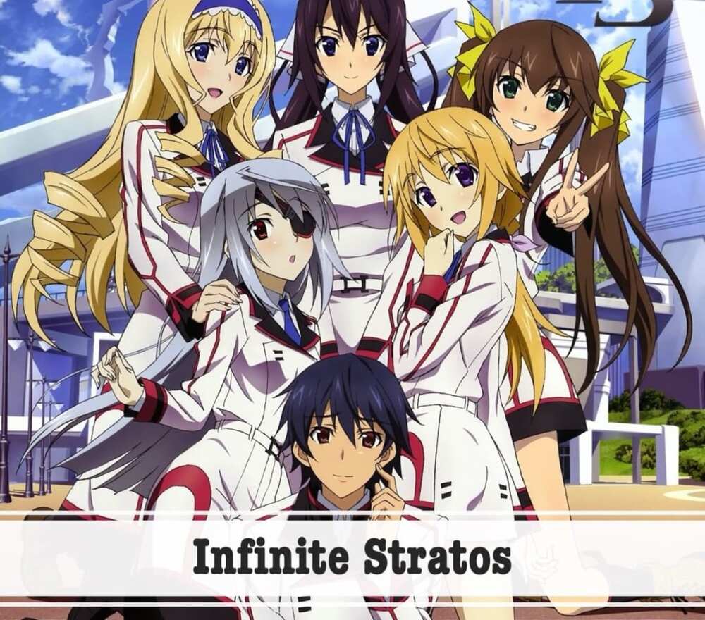 12 Best Harem Anime You Must See