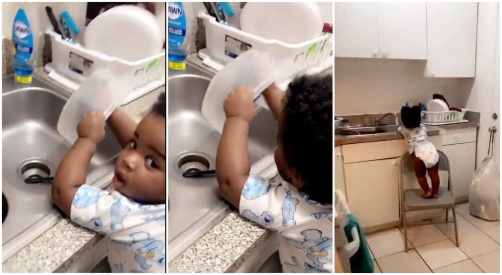 Black boy washing plate in the kitchen.