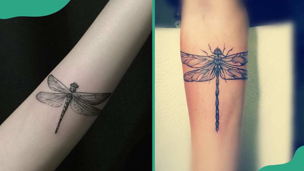 Black and grey dragonfly tattoos