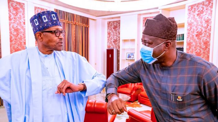 Farmer-herder clash: My advice to PDP governor who visited me - Buhari