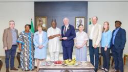 Governor Ortom Meets UK Parliament Delegation, Reports Buhari, FG