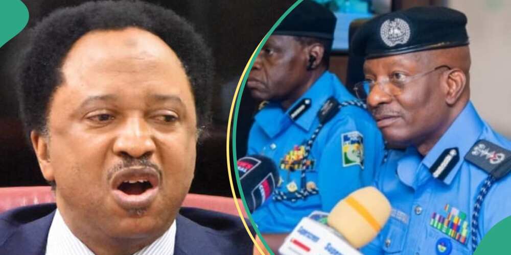 Nigeria Police replies Shehu Sani