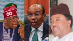 Godwin Emefiele: Shehu Sani hints Tinubu on how to purge CBN