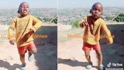 Little boy's beautiful dance captures hearts online, netizens shower him with praise
