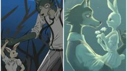 Beastars : voici 10 raisons de regarder cet animé si original !