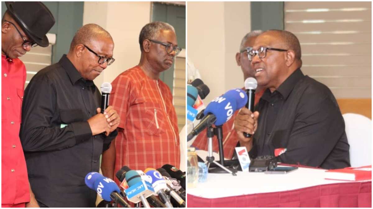 BREAKING: APC presidential campaign council reacts to Peter Obi's claims