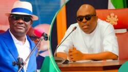 "We all know what the crisis is about”: Wike blasted for attacking Governor Fubara