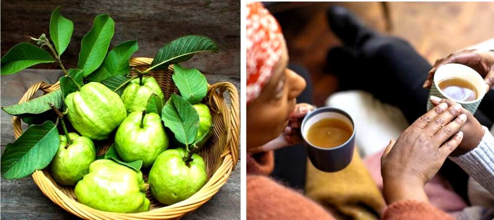 Guava Leaf Tea Benefits and Side Effects You Should Know About