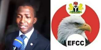 New sheriff in town: 5 amazing facts about Magu's successor as EFCC boss Abdulrasheed Bawa