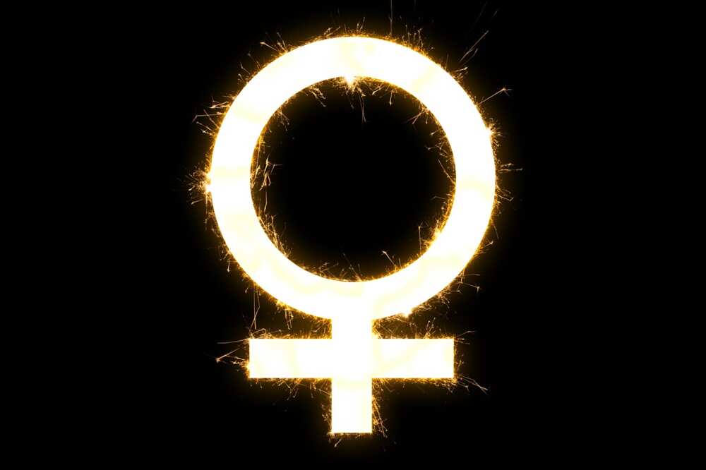 what does the female symbol look like?