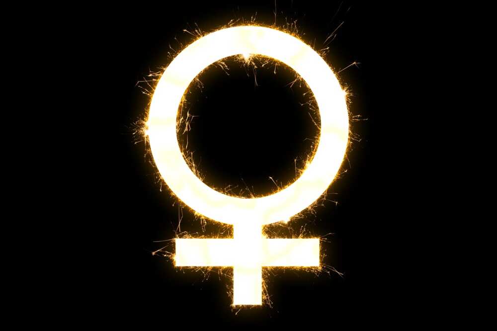 Male And Female Signs Meaning Historical Background And Uses