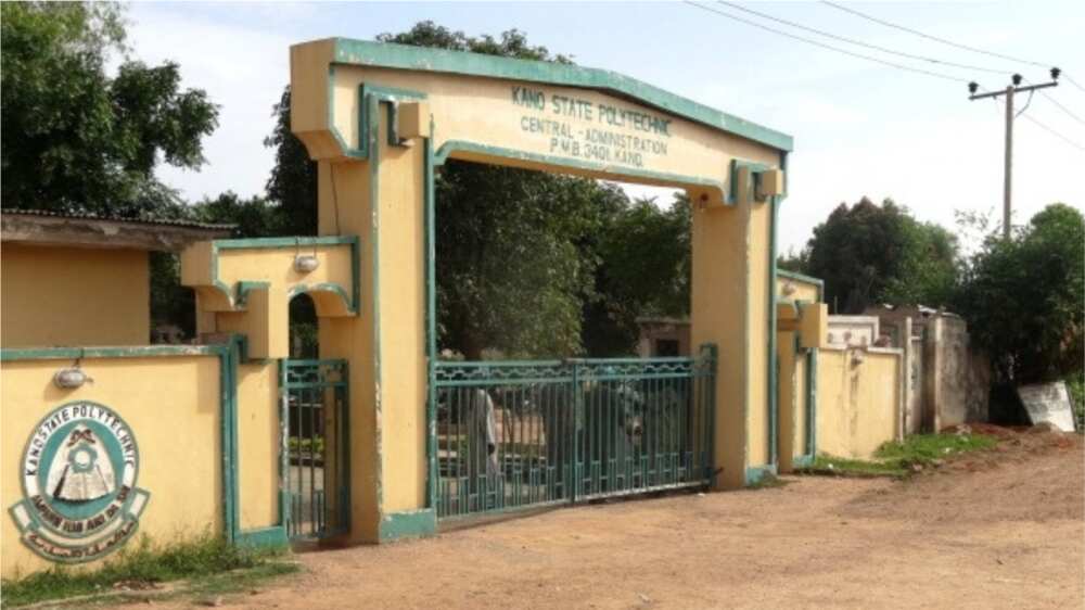 Polytechnic Lecturers Suspend Strike, Give reason