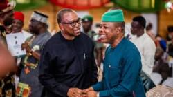 2023: Bad news for Peter Obi as ex-governor releases prophecy on Atiku, southeast