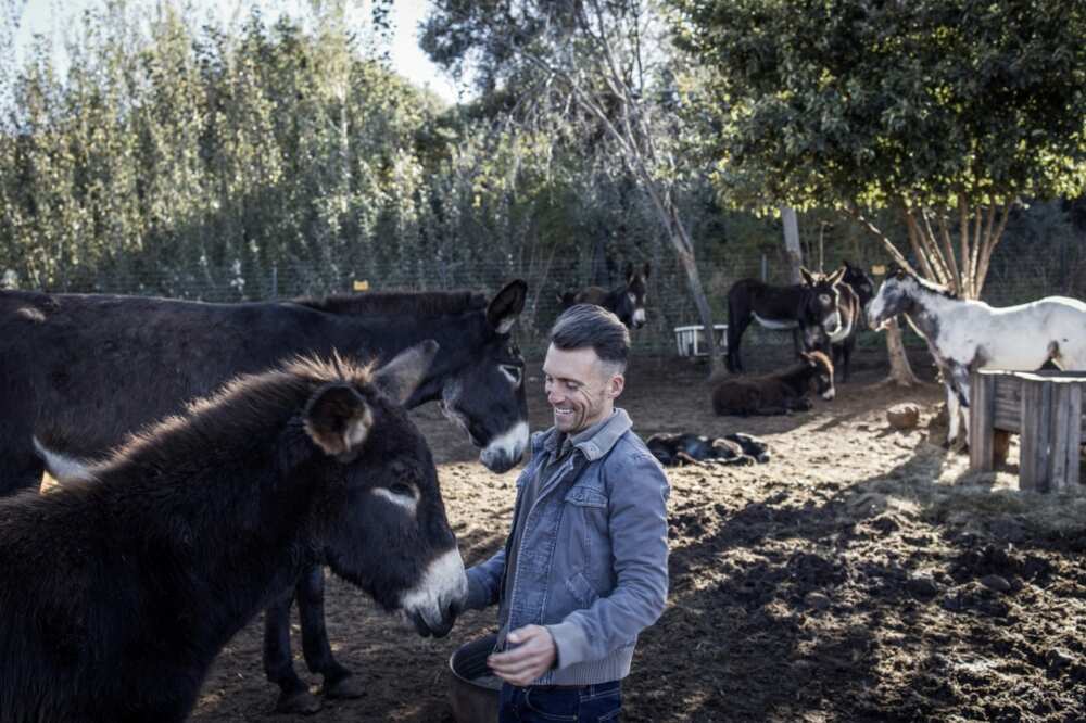 Donkey farmers like Christelis have limited options to protect their herd from thieves Donkey farmers like Christelis have limited options to protect their herd from thieves