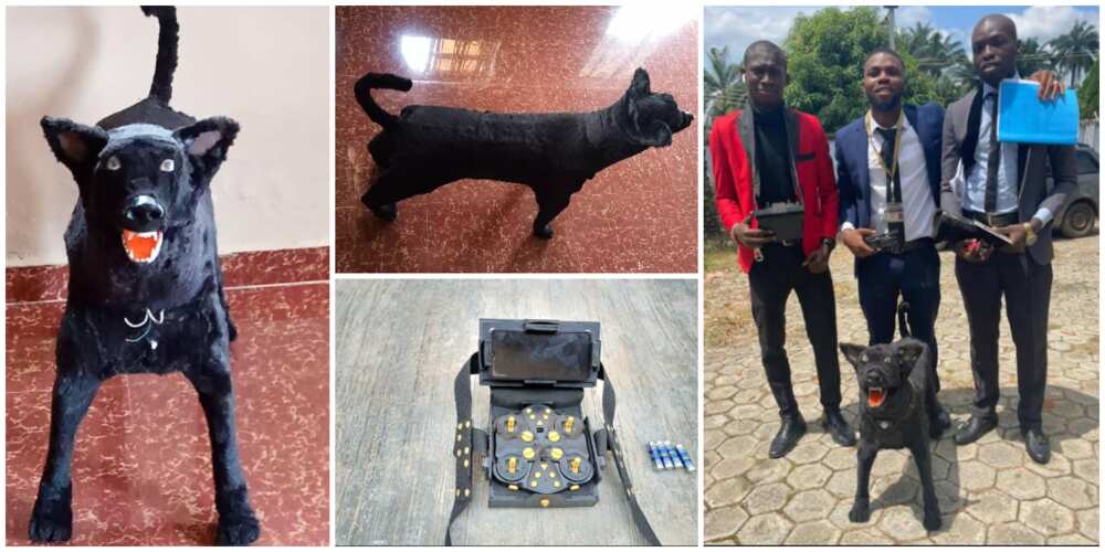 Nigerian students create robotic dog that is controlled with remote as final year project, photos cause stir Nigerian students create robotic dog that is controlled with remote as final year project, photos cause stir