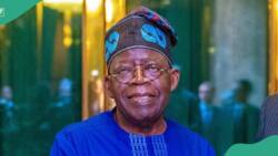 BREAKING: Senate unveils Tinubu's new ministerial nominee to replace El Rufai, details emerge