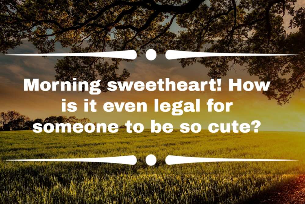 53 funny good morning quotes to share with your loved ones 53 funny good morning quotes to share with your loved ones